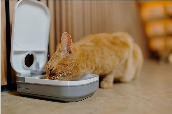 Automatic Pet Feeder Smart Food Dispenser For Cats Dogs Timer Stainless Steel Bowl Auto Dog Cat Pet Feeding Pets Supplies